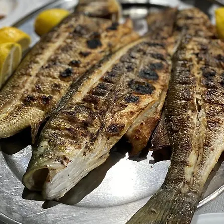 Pachmann דירה ניאה פלאגיה